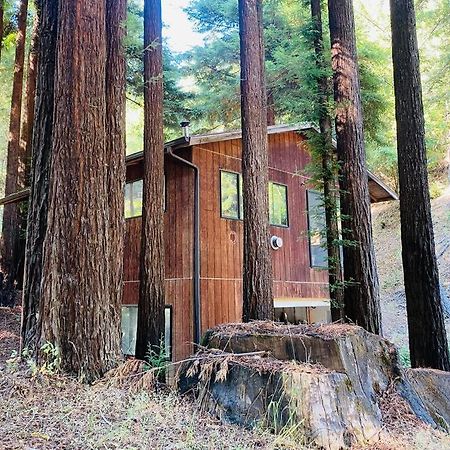 Апартаменты Little House In The Redwoods With A Hot Tub! Гарбервилл Экстерьер фото