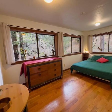 Апартаменты Little House In The Redwoods With A Hot Tub! Гарбервилл Экстерьер фото