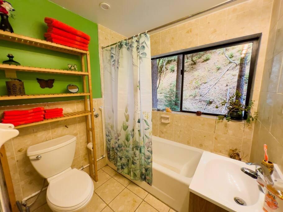 Апартаменты Little House In The Redwoods With A Hot Tub! Гарбервилл Экстерьер фото