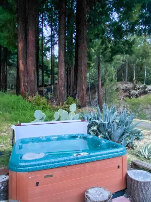 Апартаменты Little House In The Redwoods With A Hot Tub! Гарбервилл Экстерьер фото